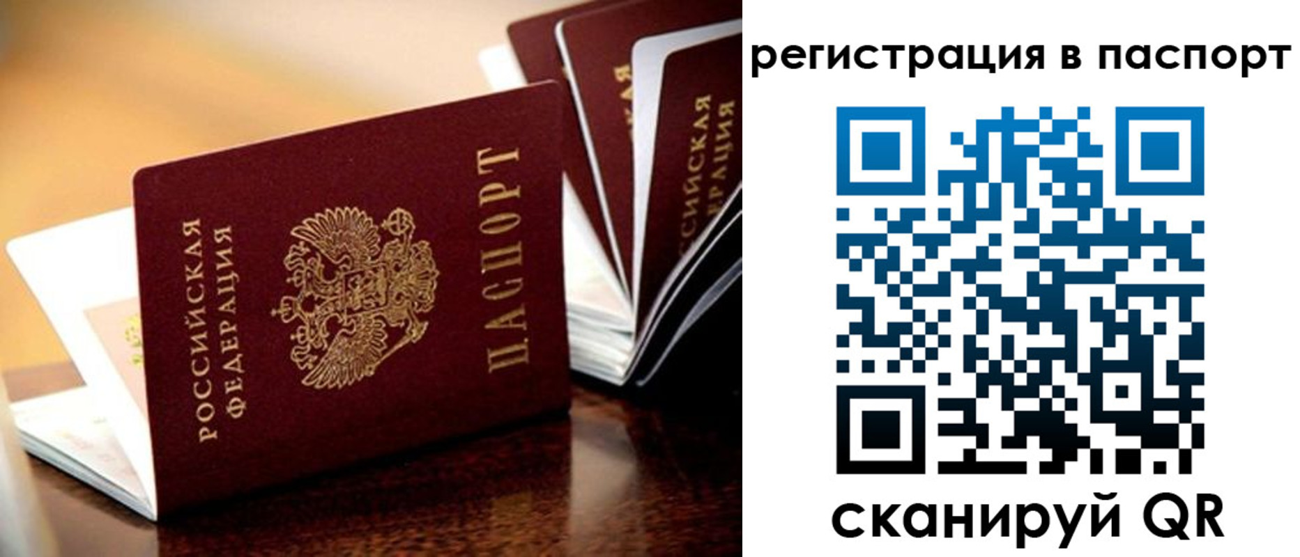 временная регистрация недорого в Павловске